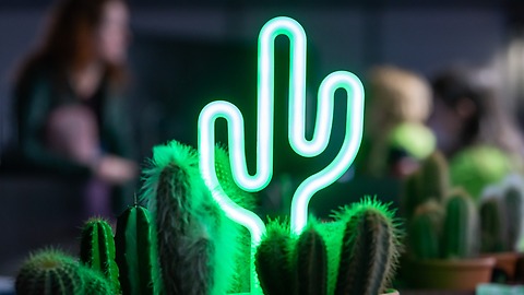 Leuchtender Kaktus